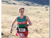 2015-04-18 -D47I3138 : ras y moelwyn